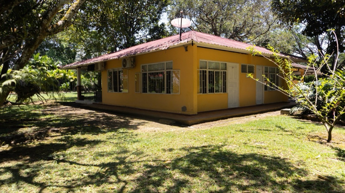 Exterior de cabaña entre los árboles de Finca San Luis